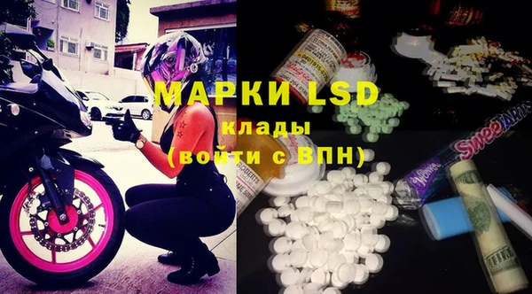 прущие грибы Майский