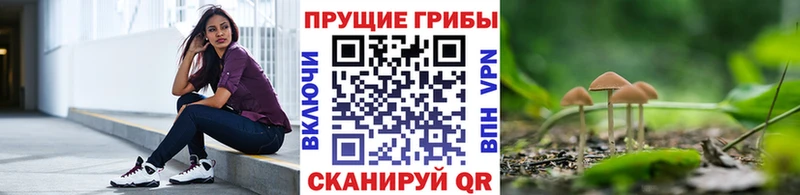 хочу наркоту  Заринск  блэк спрут   Псилоцибиновые грибы GOLDEN TEACHER 