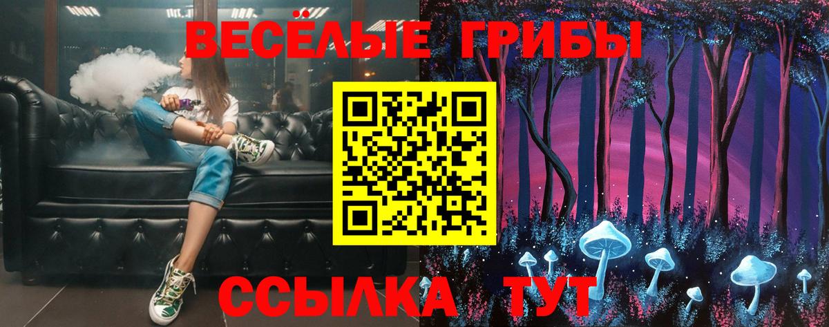 Заринск  Псилоцибиновые грибы Magic Shrooms  Вход с VPN 