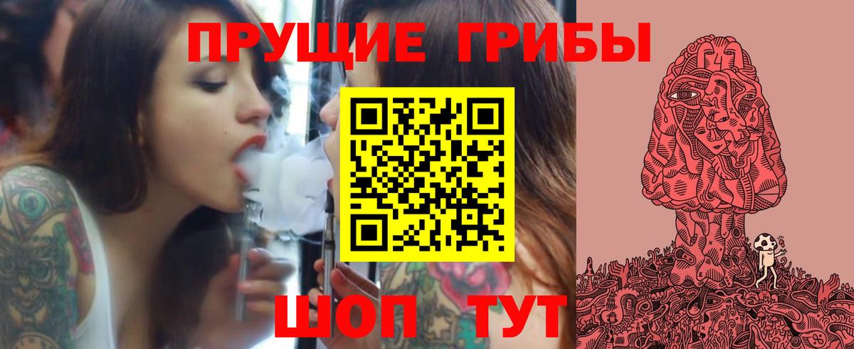 Псилоцибиновые грибы Psilocybe  Заринск 